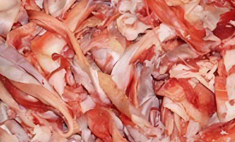 Pet food ingredients